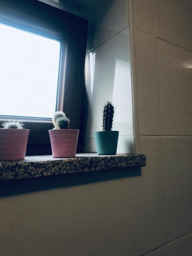 Boavista Villa Guesthouse ポルト エクステリア 写真